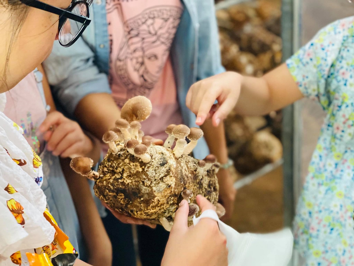 Làng Nấm Đà Lạt