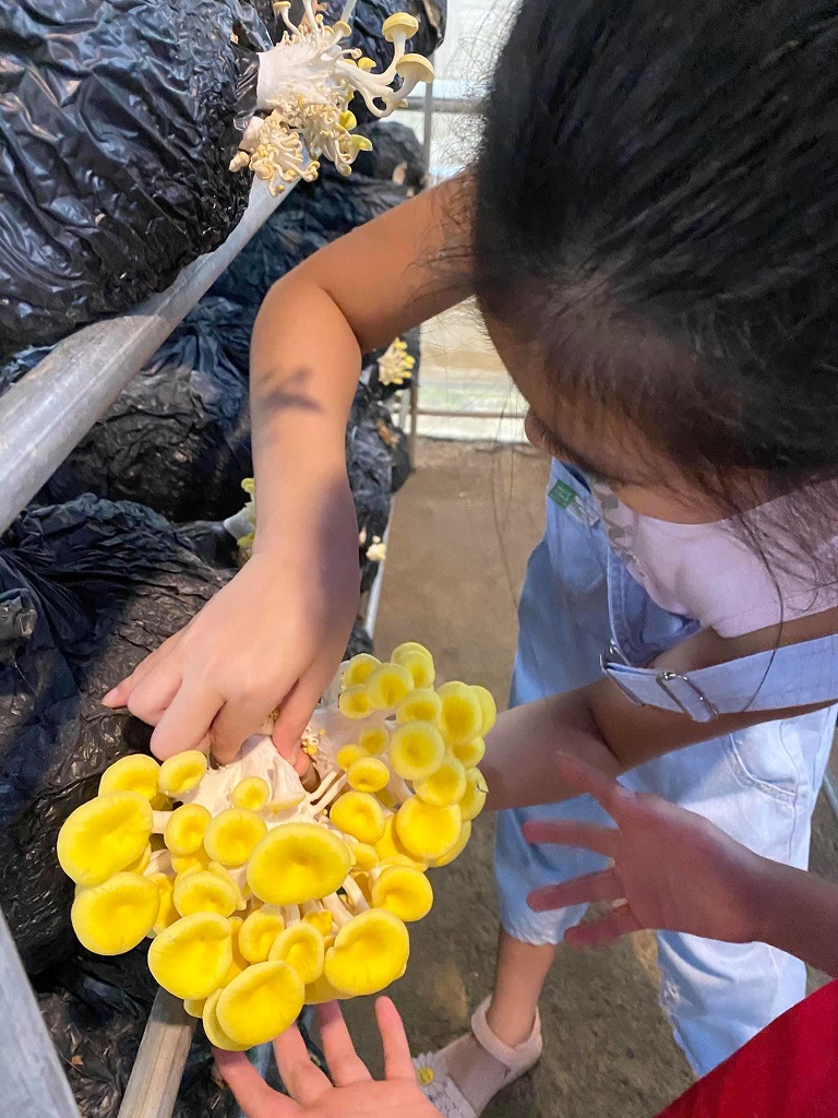 Làng Nấm Đà Lạt
