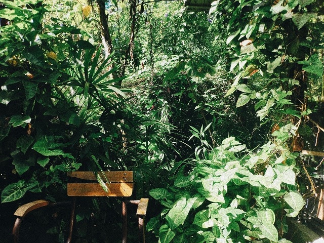 Le Chalet Đà Lạt Coffee and Bistro