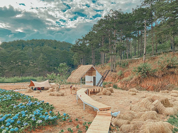 Makakamp Coffee, Đà Lạt