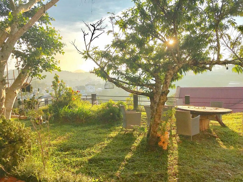 Tour săn mây đón bình minh Đà Lạt