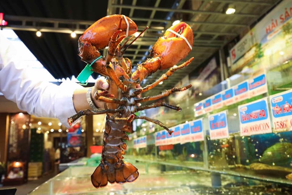 Hải sản Hải Châu Đà Lạt