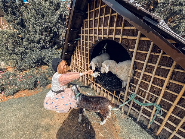 Nhà hàng QUE garden Đà Lạt