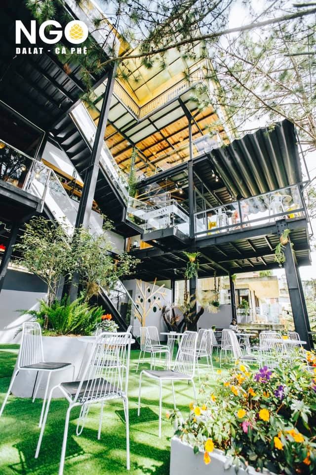 RỪNG NGO coffee & tea, Đà Lạt