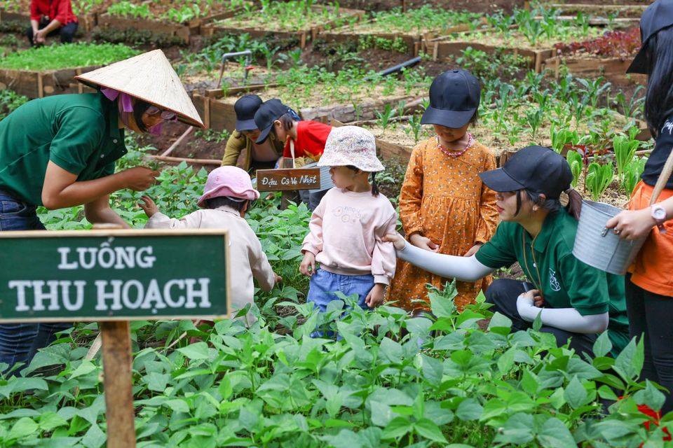 Rừng Thông Mơ Farm & Bistro Đà Lạt