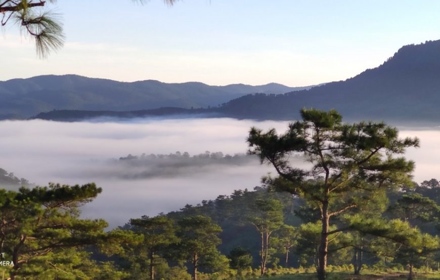 Tour cắm trại tại đồi Đa Phú Đà Lạt