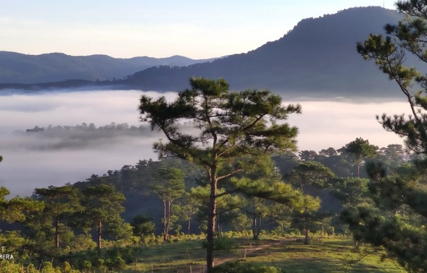 Tour cắm trại tại đồi Đa Phú Đà Lạt