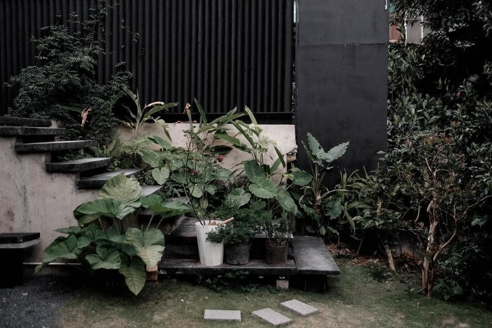 Sitooterie - Coffee & Stories, Đà Lạt 