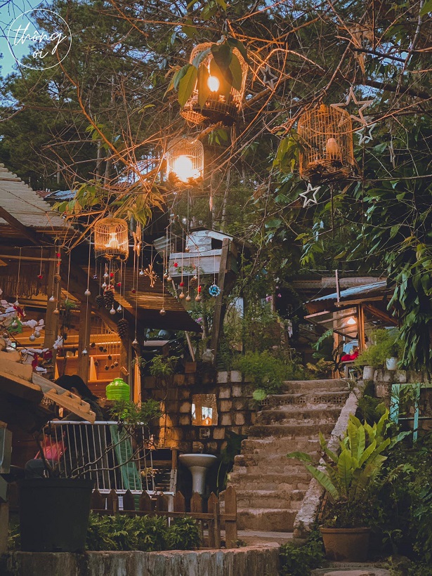 Thông ơi Cafe, Đà Lạt