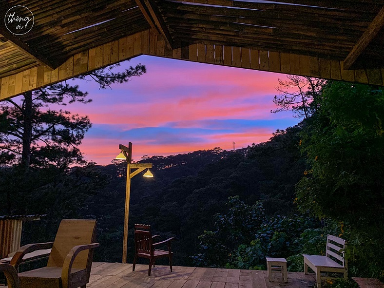 Thông ơi Cafe, Đà Lạt