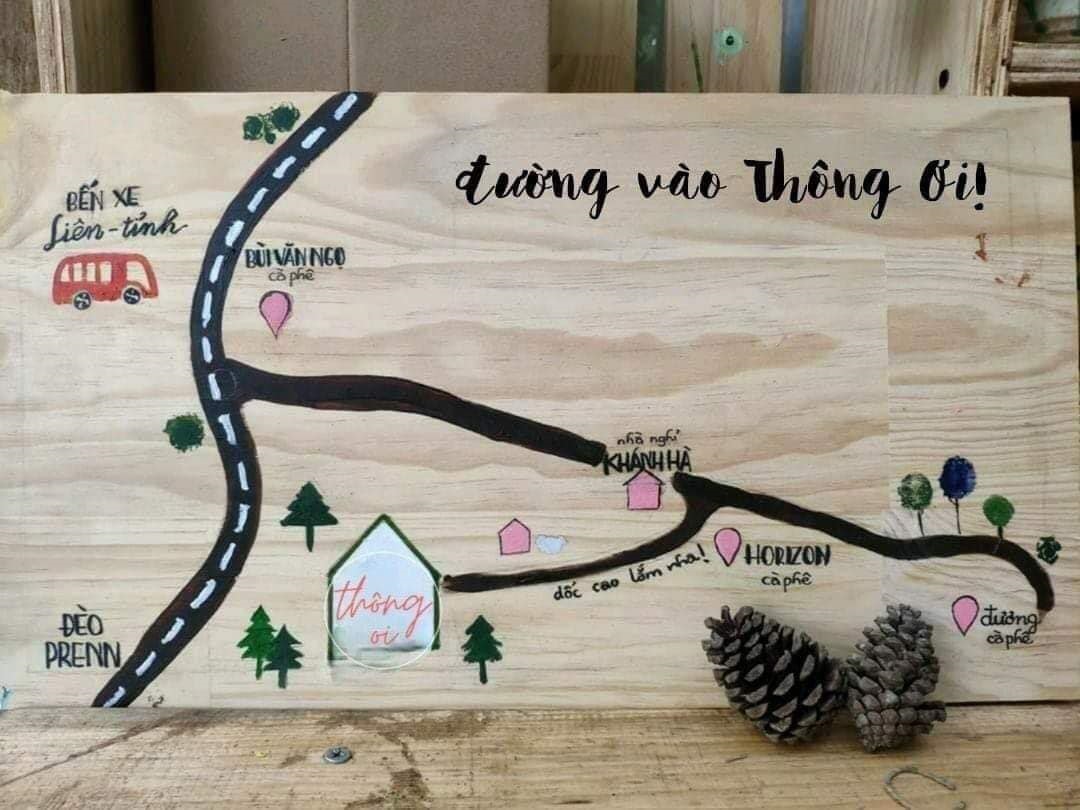 Thông ơi Cafe, Đà Lạt