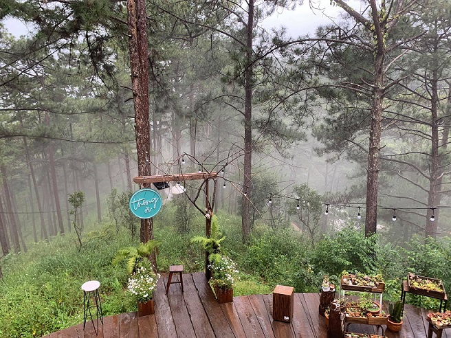 Thông ơi Cafe, Đà Lạt