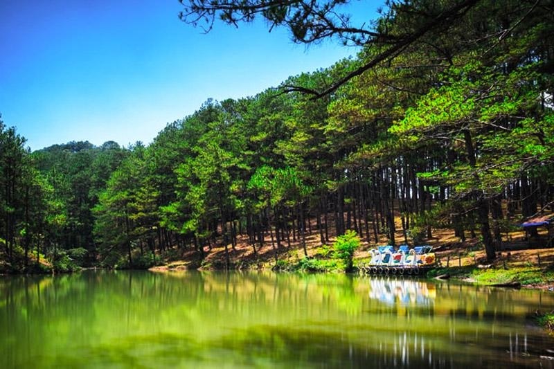 Thung Lũng Vàng Đà Lạt