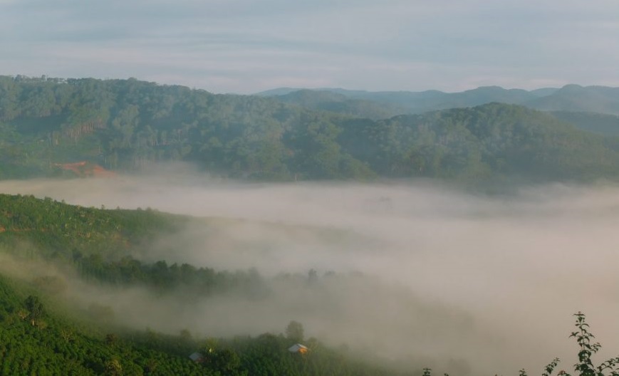 Tour cắm trại tại Dasar Đà Lạt
