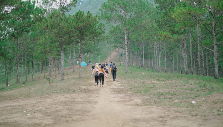 Tour cắm trại tại Hòn Bồ
