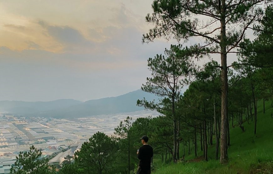 Tour cắm trại tại Hòn Bồ