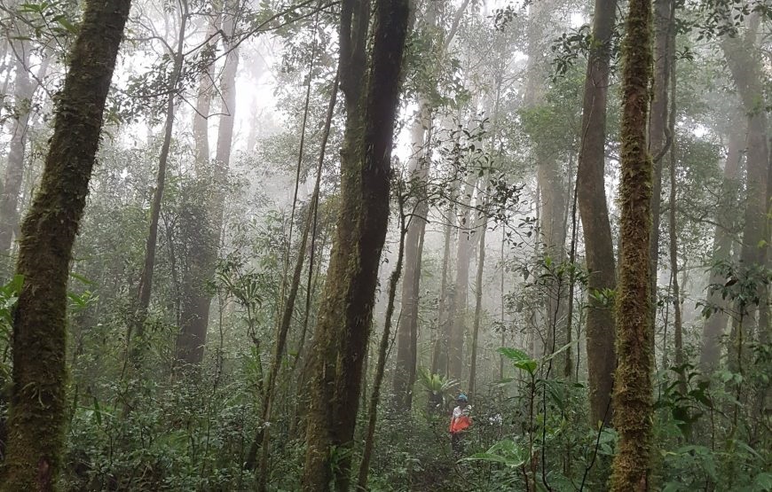 Tour Trekking tại vườn quốc gia Bidoup - Núi Bà