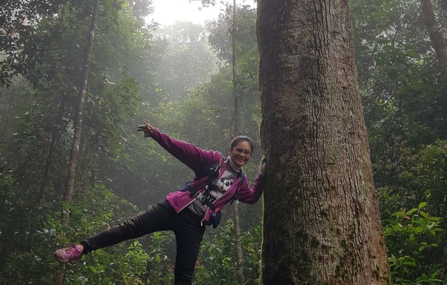 Tour Trekking tại vườn quốc gia Bidoup - Núi Bà