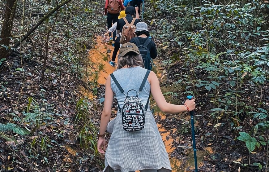 Trekking - Khám phá Hồ Tuyền Lâm 2N1Đ