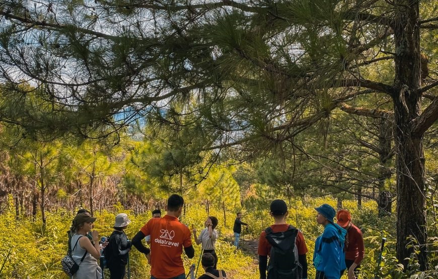 Trekking - Khám phá Hồ Tuyền Lâm 2N1Đ