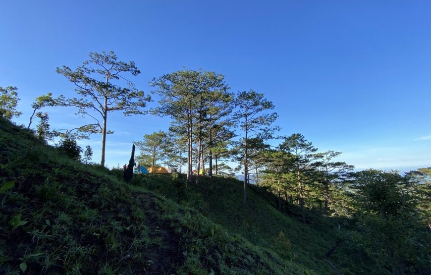 Tour Trekking Tà Năng – Phan Dũng 2N1Đ