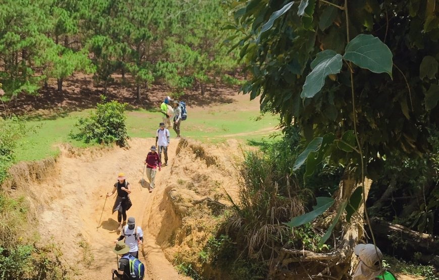 Tour Trekking Tà Năng – Phan Dũng 2N1Đ