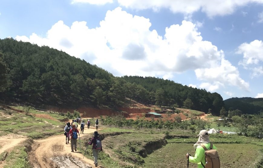 Tour Trekking Tà Năng – Phan Dũng 2N1Đ