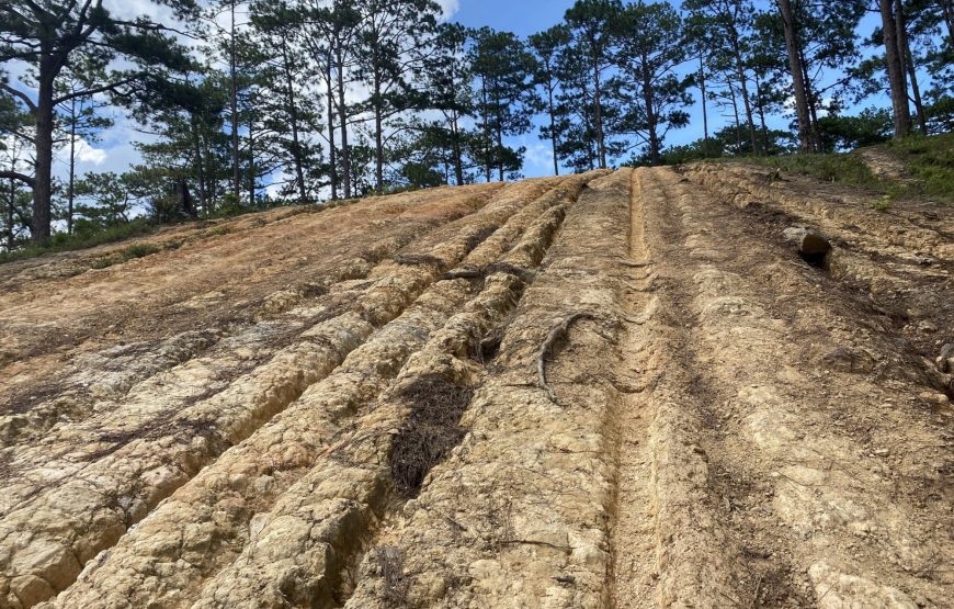 Tour Trekking Tà Năng – Phan Dũng 2N1Đ