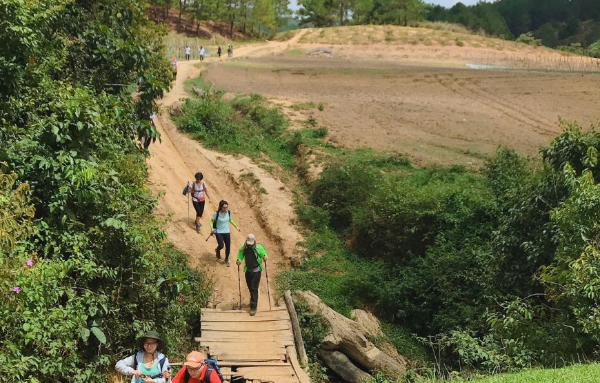 [Tgroup + Dala Travel] Tour Trekking Tà Năng – Phan Dũng 2N1Đ