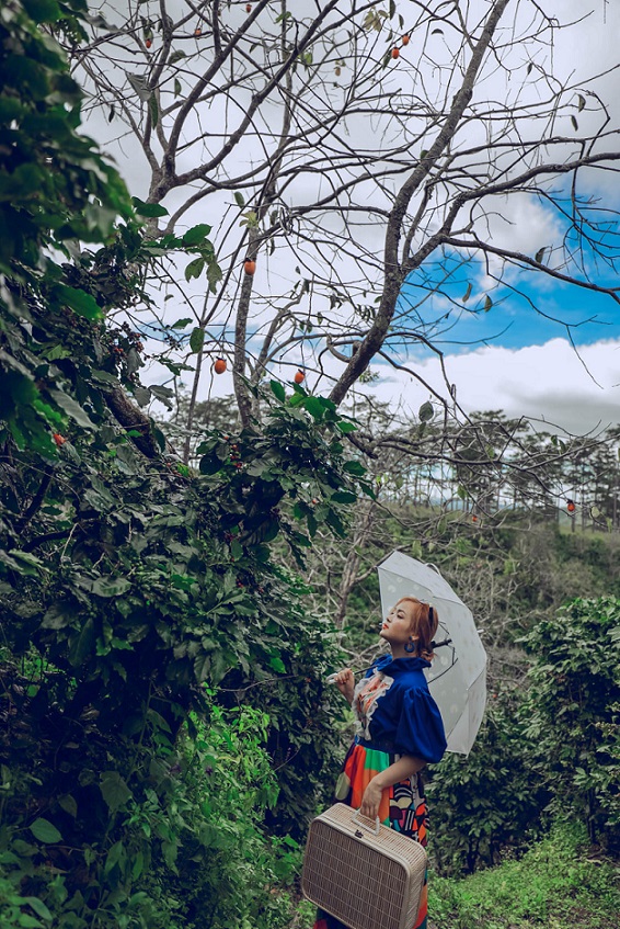 Tulutula - Địa điểm check in Đà Lạt