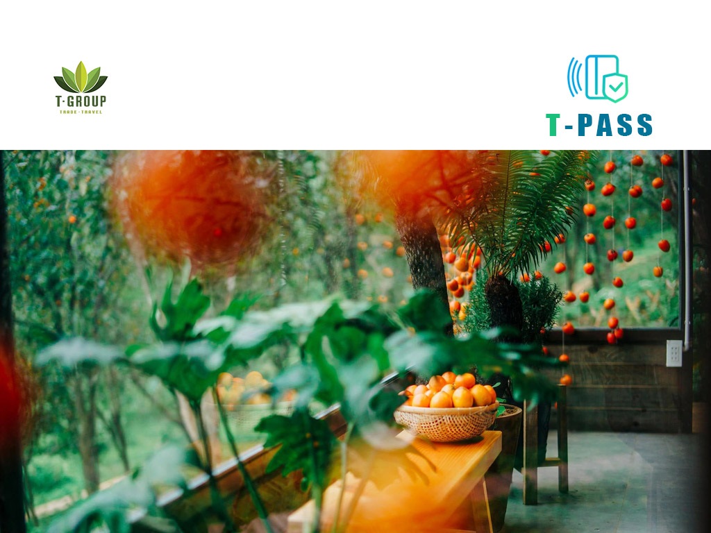 Vườn hồng nhà Tom, Đà Lạt