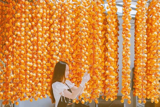 Tham quan vườn hồng Lễ Vân Đà Lạt