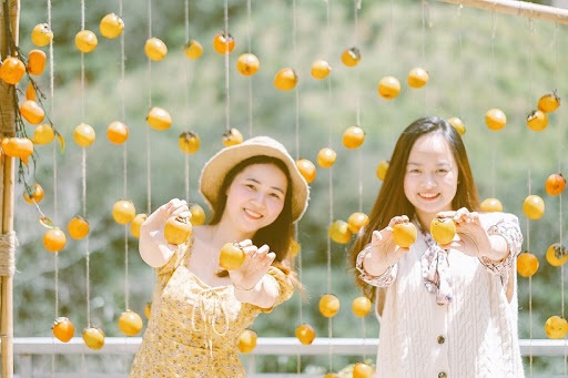 Tham quan vườn hồng Lễ Vân Đà Lạt