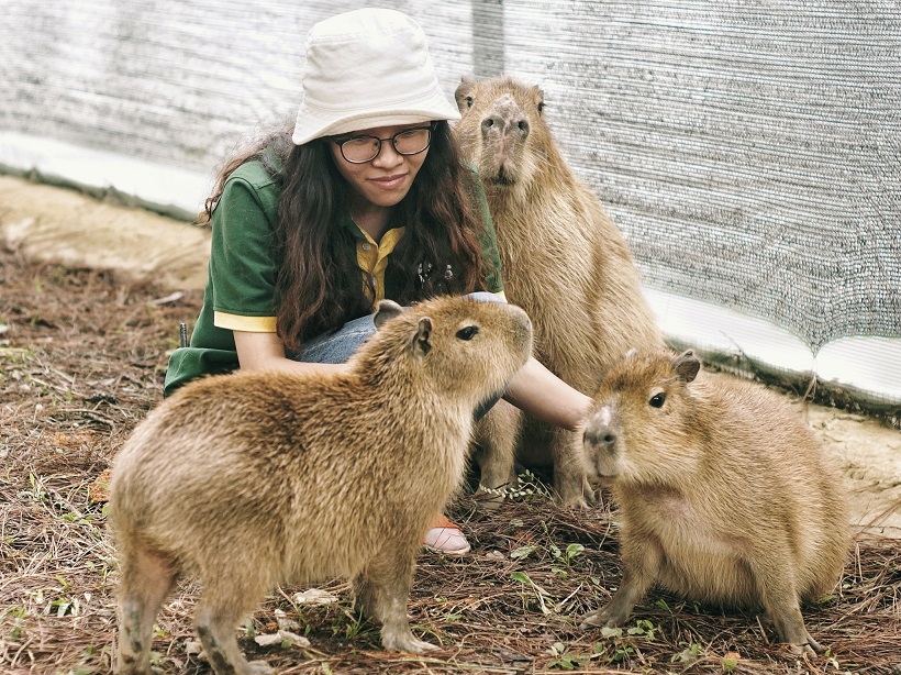 Tour tham quan sở thú Zoodoo Đà Lạt
