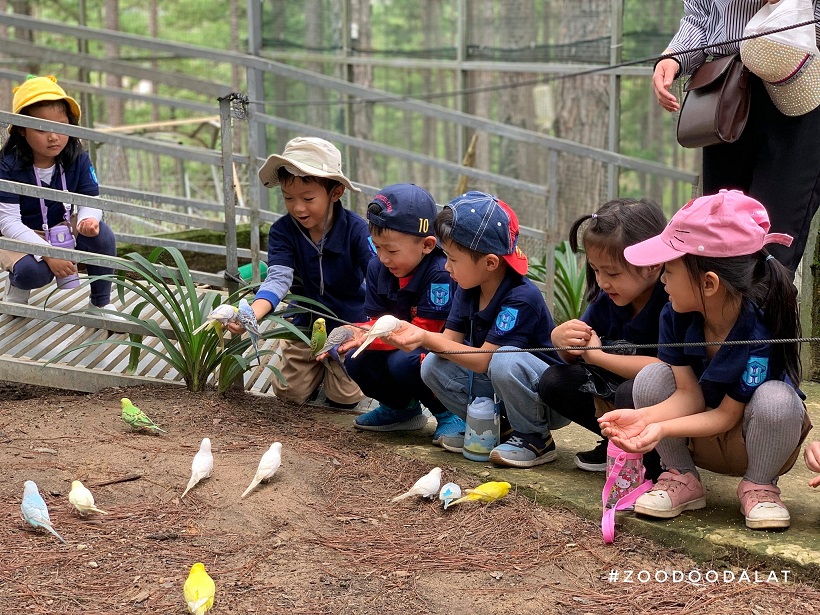 Zoodoo - Sở thú phong cách Úc tại Đà Lạt