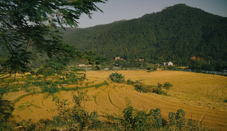 Bình Liêu, Quảng Ninh