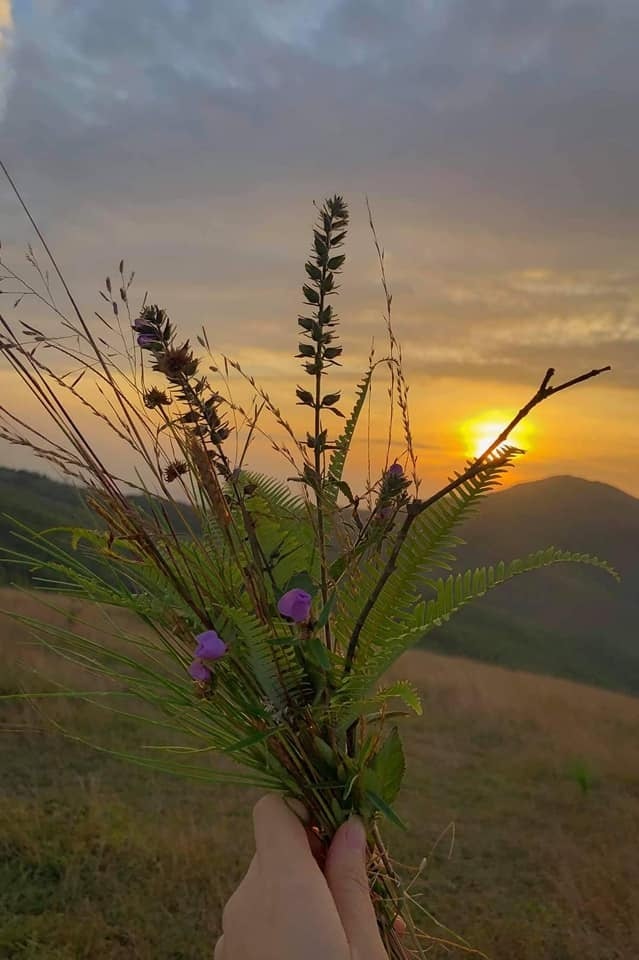 Đỉnh Bình Hương, Quảng Ninh