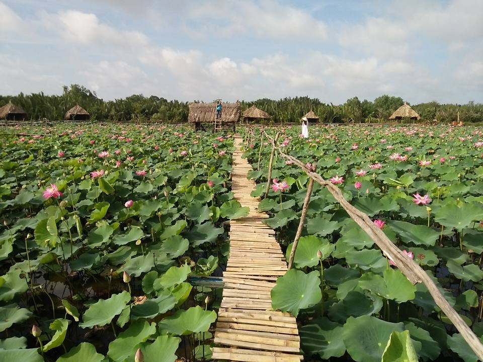Hồ sen Tam Đa, Tp. HCM