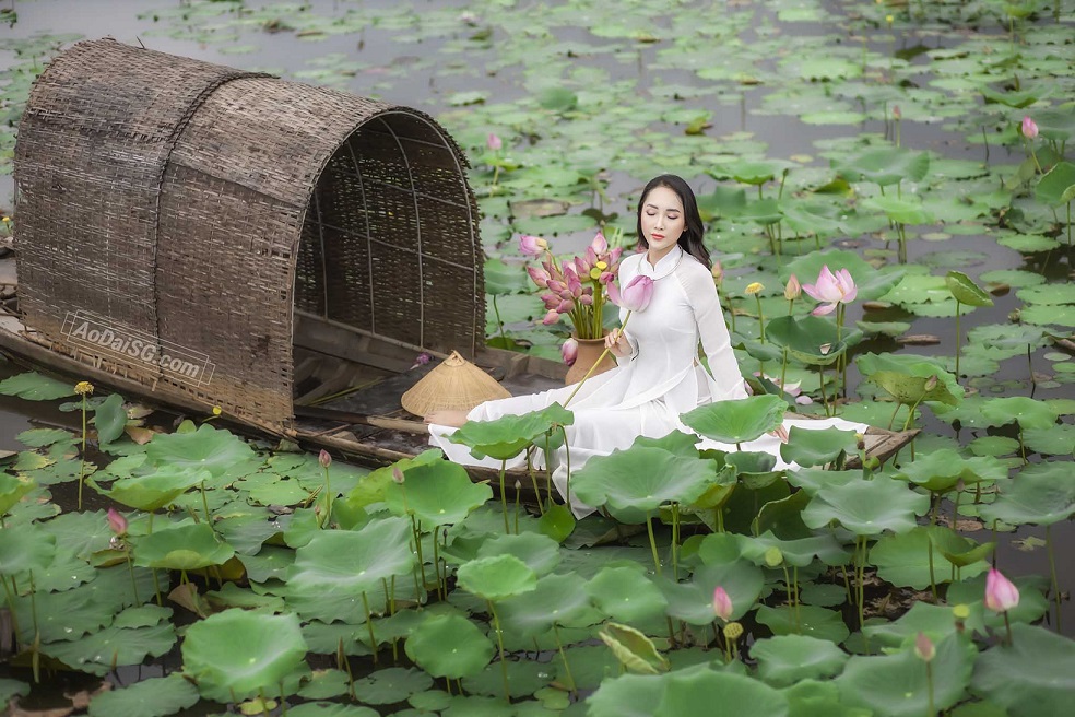 Hồ sen Tam Đa, Tp. HCM
