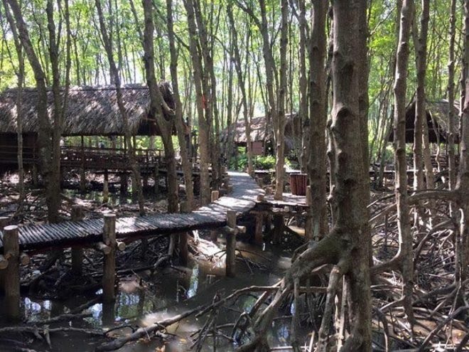 Day tour Cần Giờ: Tham quan Đảo khỉ và Rừng ngập mặn