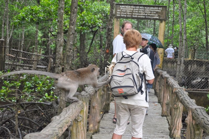 Day tour Cần Giờ: Tham quan Đảo khỉ và Rừng ngập mặn