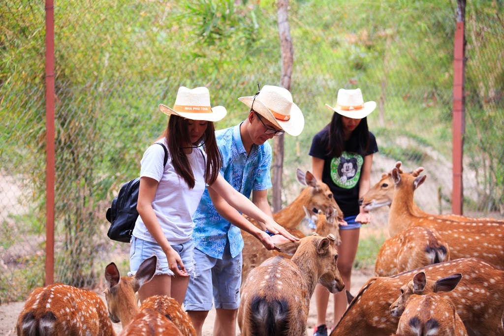 Tour Đảo khỉ - Suối hoa lan một ngày từ Nha Trang