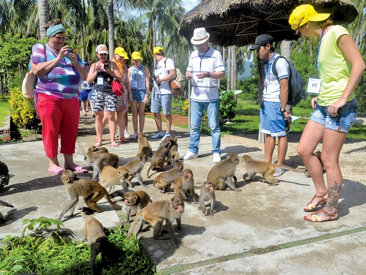 Tour Đảo khỉ - Suối hoa lan một ngày từ Nha Trang