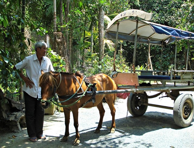 Làng cổ Phú Vinh, Nha Trang