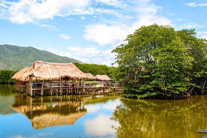 Khu Rừng Đước, Nha Trang 