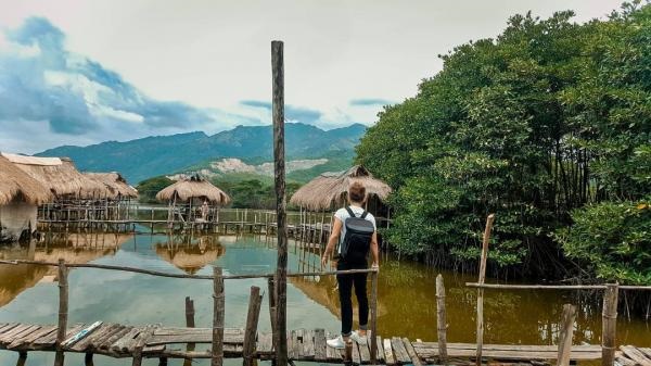 Khu Rừng Đước, Nha Trang 