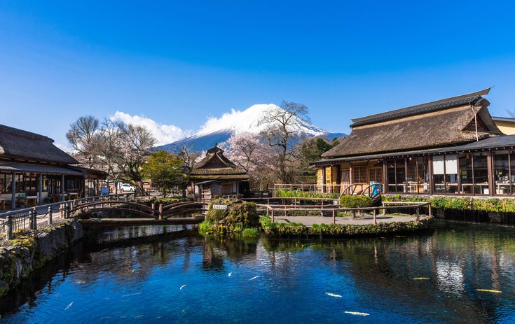 Tour Nhật Bản 6N5Đ 2026 | Rực Rỡ Mùa Hoa – Osaka – Kyoto – Phú Sĩ – Tokyo (Vietjet Air)
