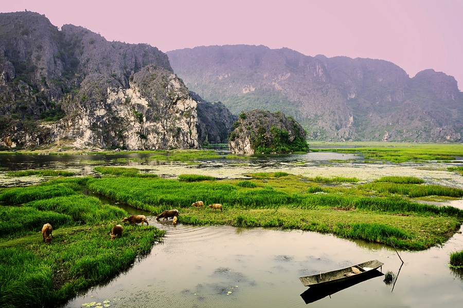 Đầm Vân Long, Ninh Bình