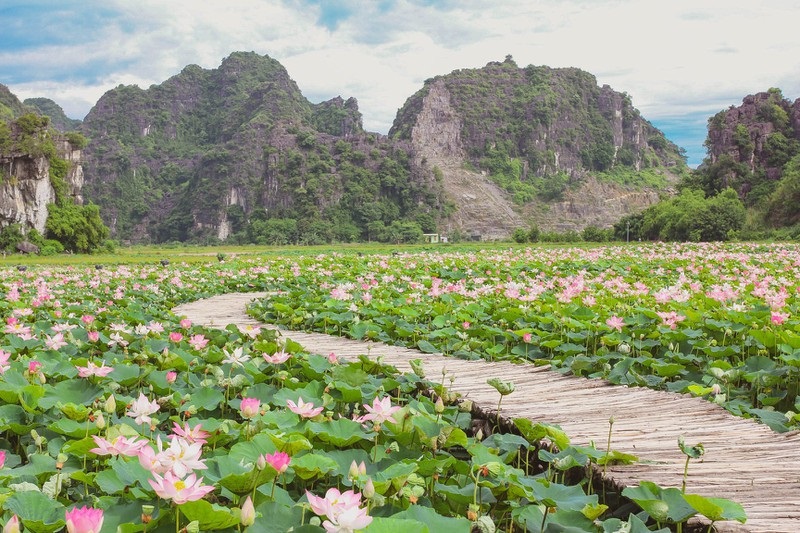 Tam Cốc – Bích Động, Ninh Bình