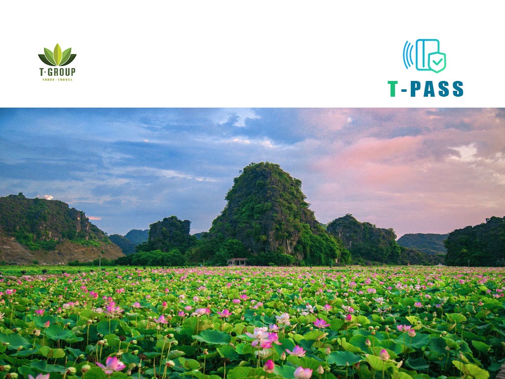 Tam Cốc – Bích Động, Ninh Bình